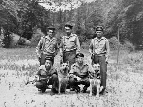 Foto 12